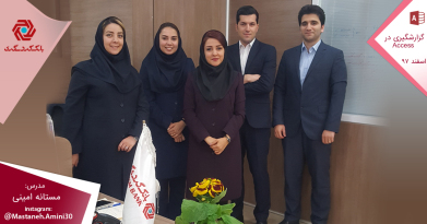 mastaneh-amini-access-practical-organizational-training-06.jpg